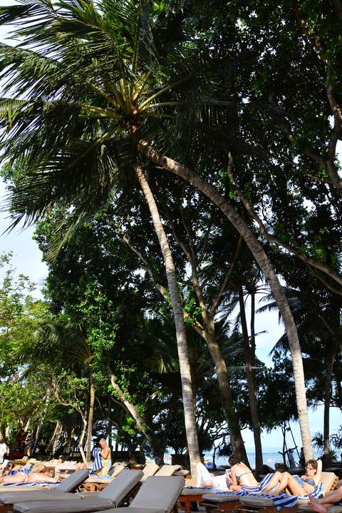 DSC_8613