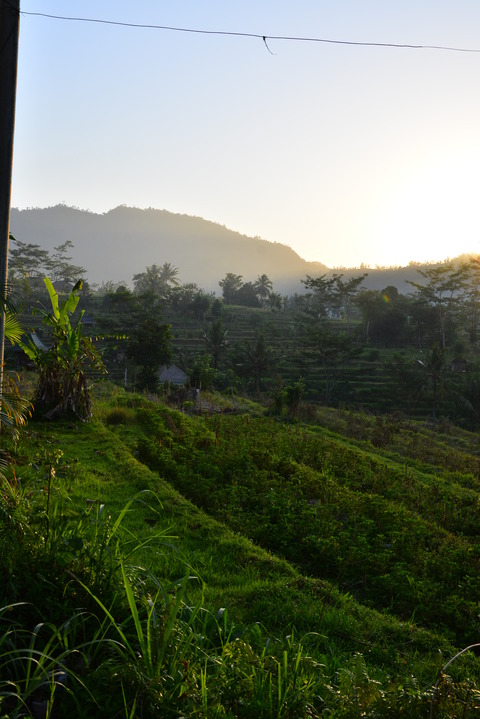 DSC_5051