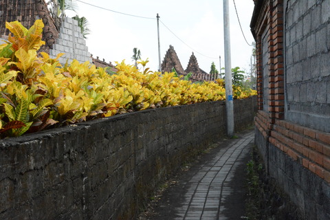 DSC_1468