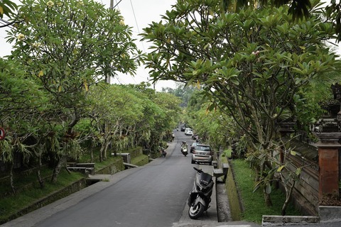 DSC_8687 (1)