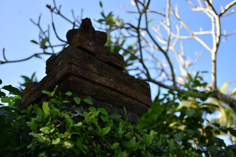 DSC_8287
