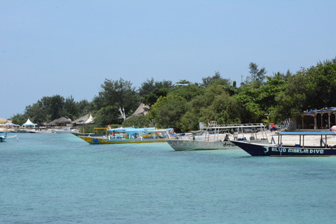 DSC_8225