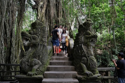 DSC_8399 (1)