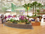 20080525bari 039