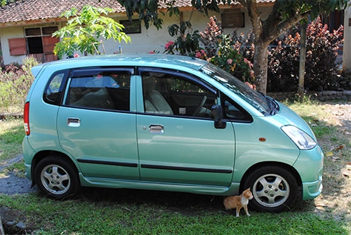 neko_car