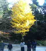 e182a6d4.jpg