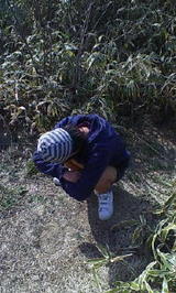c3469edb.jpg