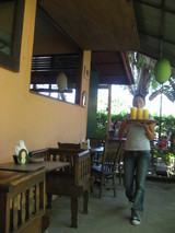 cafe2