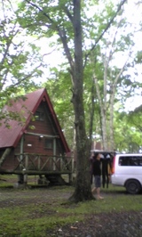 7c1d5033.jpg