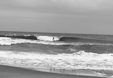 IMG_2161