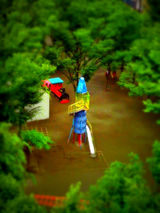 IMAG0408_effect