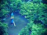 JPG_effected