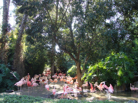 DSC06315