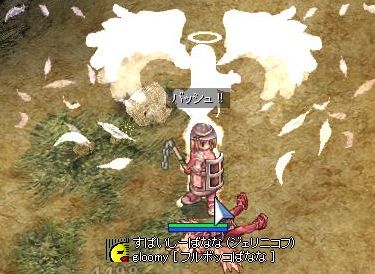 けんし!