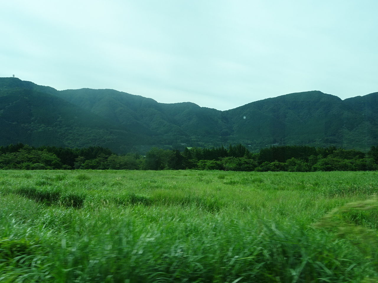 2ABF707F-FE47-4410-AB7D-665AB0B38110