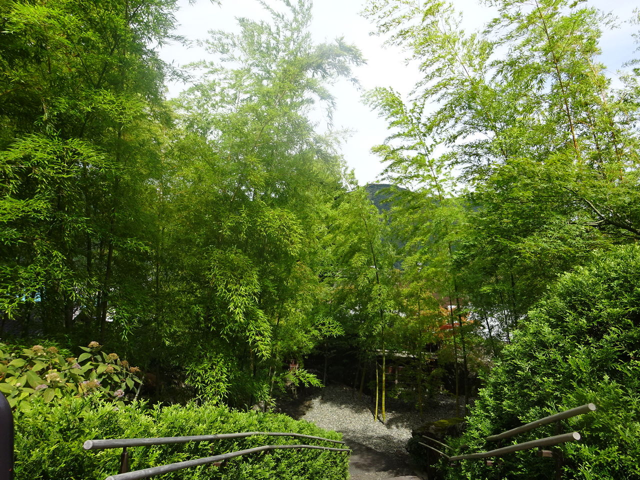 C540C3EA-2DA0-4C43-B012-E2101BF405EA