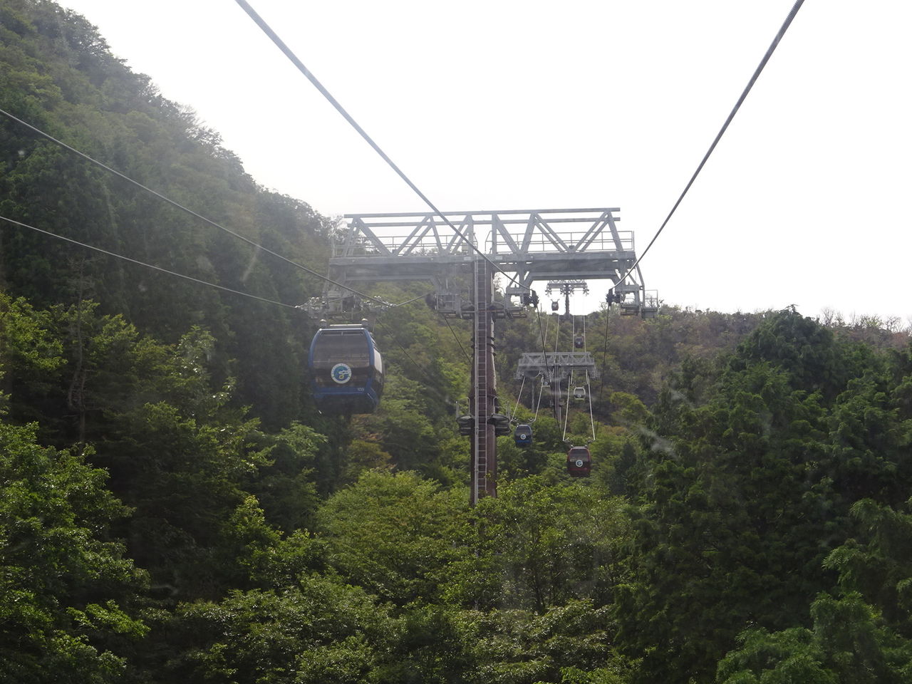 46DD7039-434E-44A0-B5E3-0148171FA60E