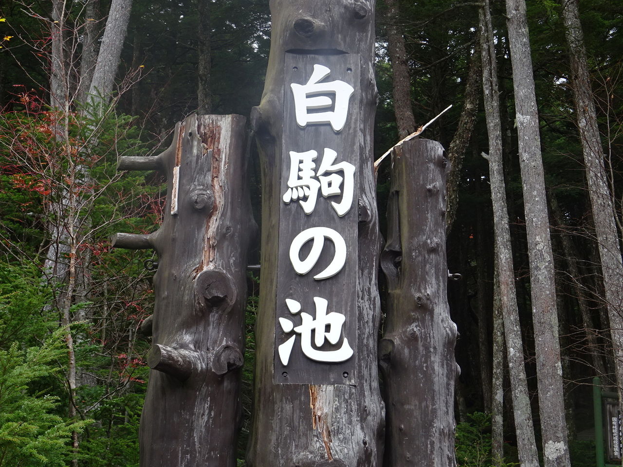 C297AB1E-E9C5-4C44-B577-4D9173E64D6D