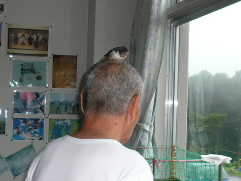 P1070626