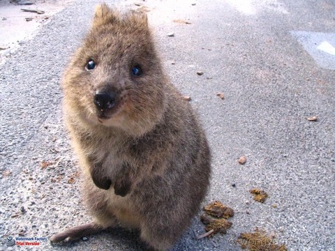 fcf0267198d49d8e00038abd601c6834_650x