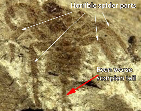 enhanced-1004-1408460815-1