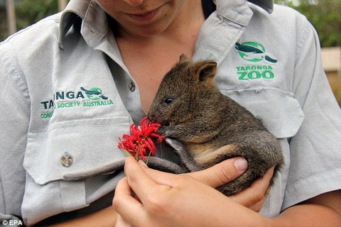 23907B4700000578-0-image-4_1417214107266