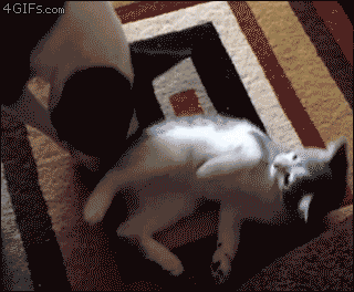 4gifs