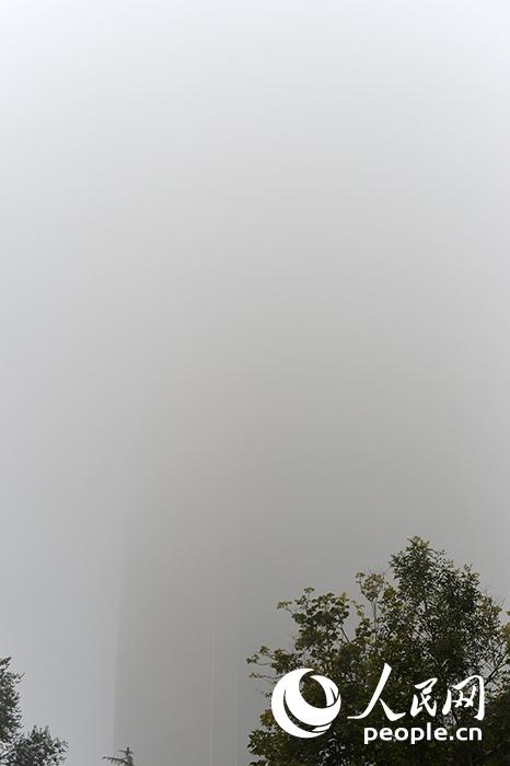 127084412_14129901916991n