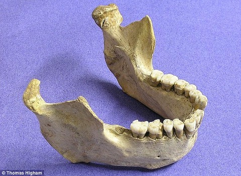 28AD61A900000578-3081861-image-a-82_1431619511893