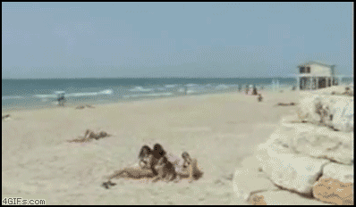 anigif_enhanced-buzz-19321-1408045301-4