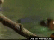 1762705_bloggif_5440b696792d6