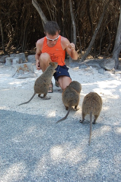 527c0ac64f2c6c52b479498fd576bb86_650x