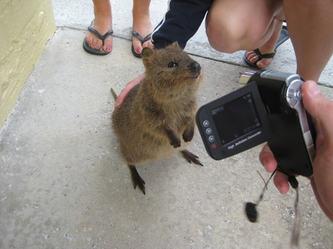 e3d6c5eaffa21b86bc2f9d6454ef835f_650x