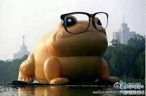 toad-300x197