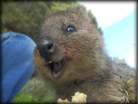 e79d59131309224309315b5fc2d7e176_650x