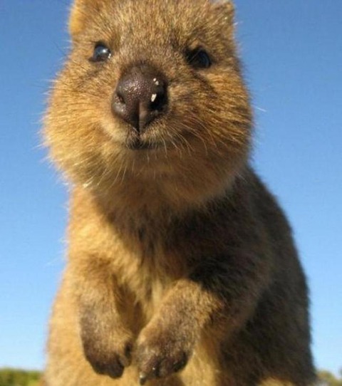 b36cb5eccd4f7fc8470b69639e9f4c54_650x