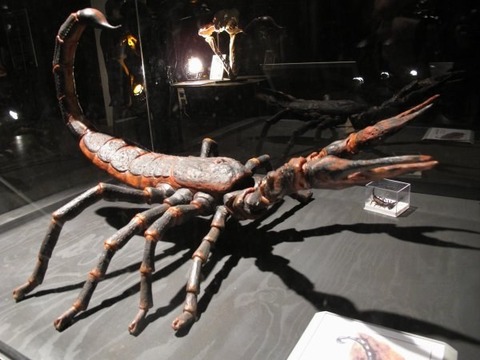 enhanced-15446-1408459707-14