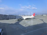 JAL@Osaka
