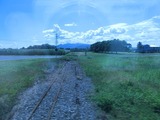 サトウキビ鉄道