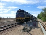 The Indian Pacific@Cook