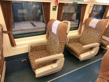 Tilt Train座席
