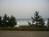 日本海