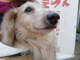 201226ダブル