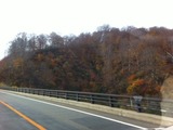 2011112紅葉