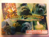 20111224カード1