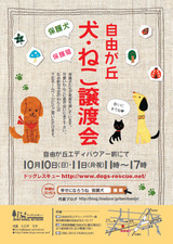 譲渡会ポスター10月ブログ