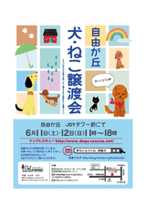 20116月譲渡会ポスター
