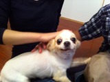 20111015メイク3