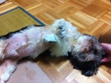 2011828ようすけ1