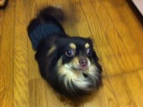 201228ニコ1